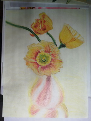 Opium Poppy in Vase Watercolor Pencil Drawing New 30x40 cm