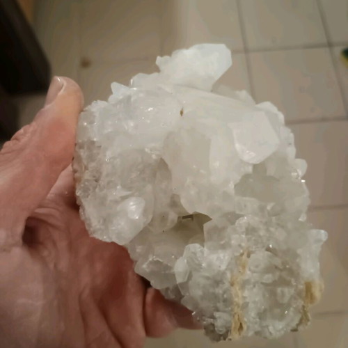 Cactus quartz new