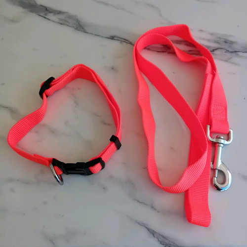 Leash collar set new, 2.5 cm width, adjustable for large dogs