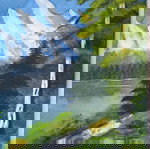 Πίνακας ζωγραφικής 50×40