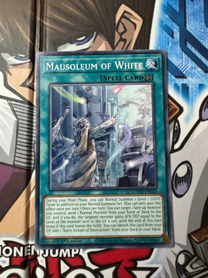 Mausoleum of White Yu-Gi-Oh! card new, collectible