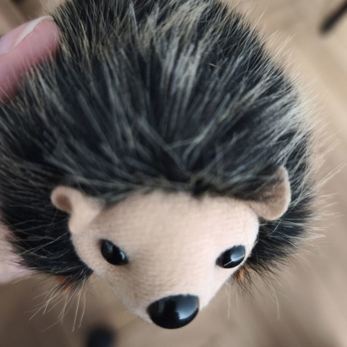 Hedgehog plush toy used