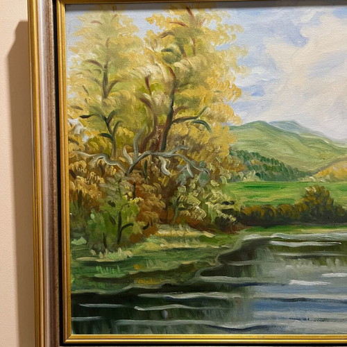 Artistic Landscape Lake and Nature like new