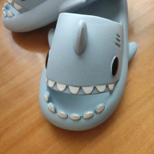 Blue slippers new