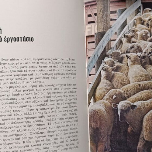 Life Encyclopedia Volume Food and Nutrition used, Greek
