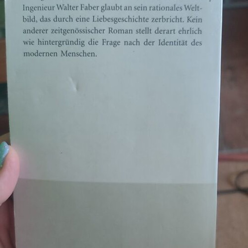 Max Frisch Homo Faber book used, German language