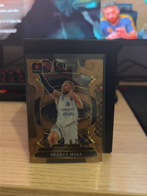 Dzanan Musa basketball card new