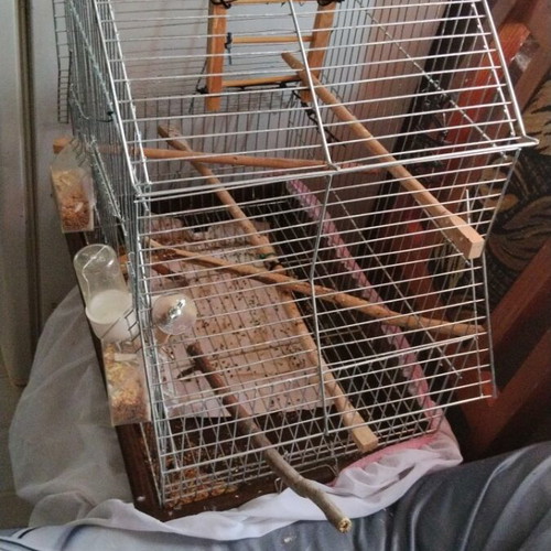 Birdcage for small and medium birds with house-shaped roof and accessories