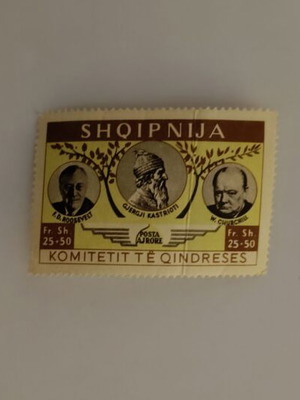 Collectible Albanian Airmail Stamp like new