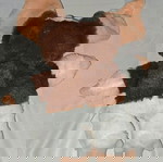  Συλλεκτικο Λουτρινο Γκιζμο - Gizmo Γκρεμλινς