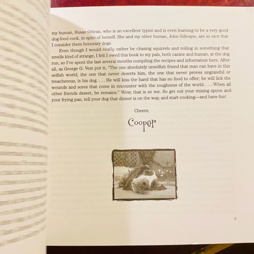 Throw me a bone dog cookbook used