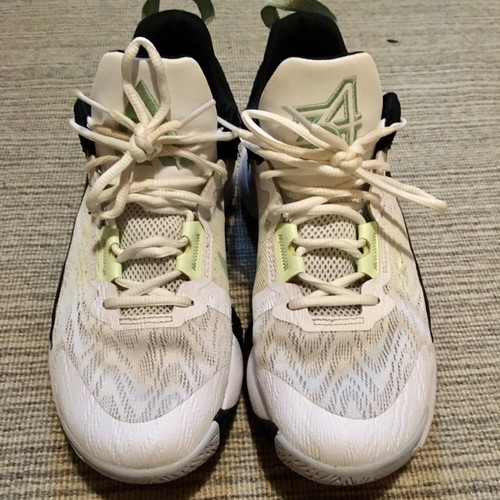 Nike Giannis Immortality 2 basketball shoes used, multicolor, size 43