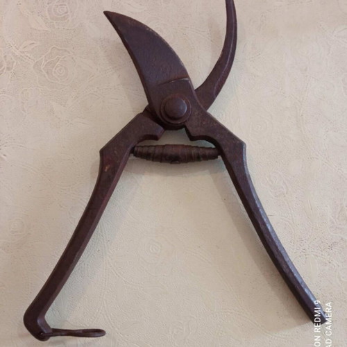 Pruning Shears used, 21 cm old tool
