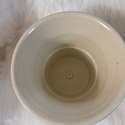 Beige ceramic flowerpot and new