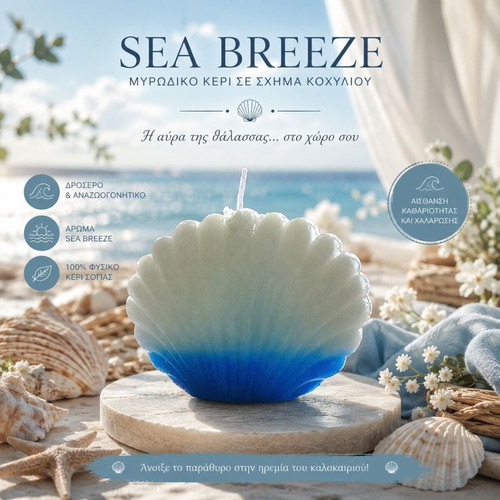 Handmade Sea Breeze Aromatic Candle Shell Shape 100% Beeswax