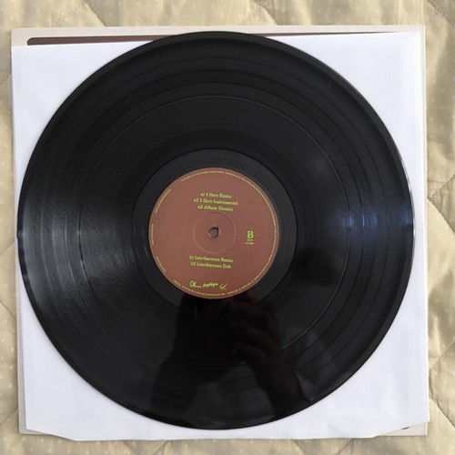 Plant Life Featuring Dena Deadly When She Smiles She Lights The Sky 12" vinyl like new, electronic