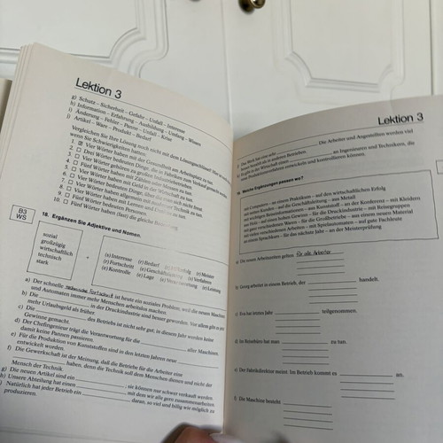 Themen 3 Lernwerk für Deutsch als Fremdsprache Arbeitsbuch like new