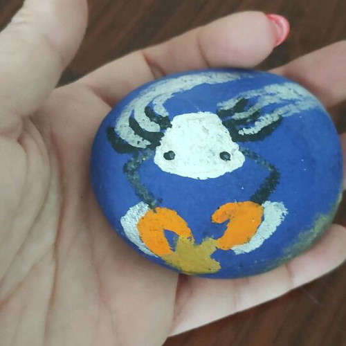 Handmade stone with Cancer zodiac like new, hand painted