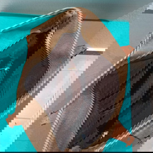 Γυναικείες τσάντες μεταχειρισμένες, 2 μπεζ με δώρο τρίτη δερμάτινη