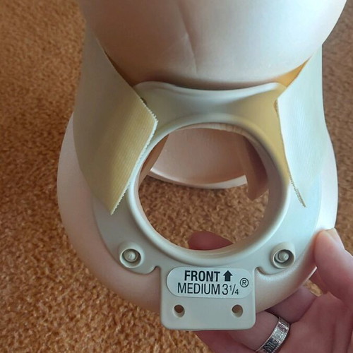 PHILADELPHIA orthopedic collar type Philadelphia used