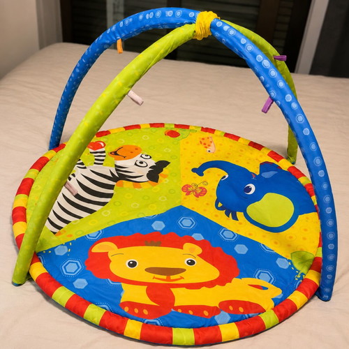 Play Gym Baby Activity Gym with Playmat like new