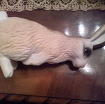 Easter decorations used