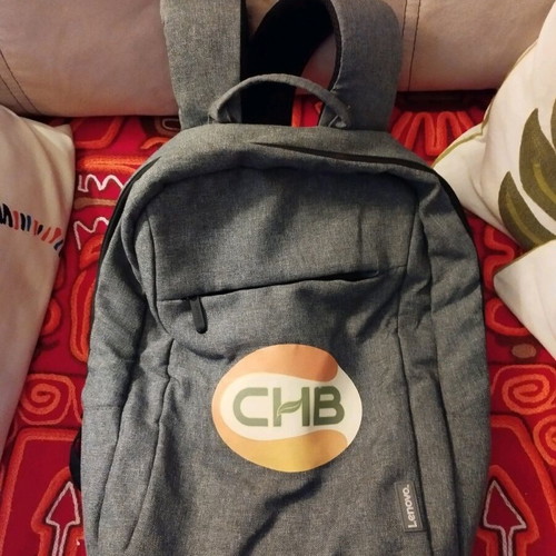 Lenovo laptop backpack unisex like new, gray