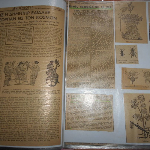 Agricultural and agronomy archive used with 196 clippings and photos