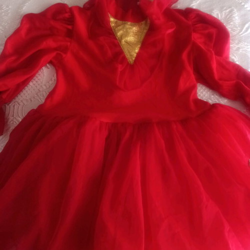 Flame costume used in very good condition