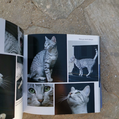 Book 1001 Cats without damage