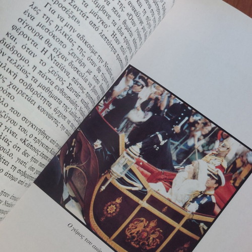 Diana The Private Life Biography book used
