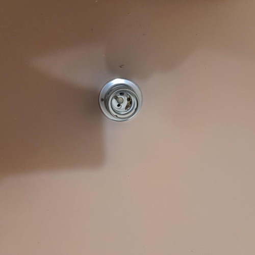 Ceiling light salmon color new