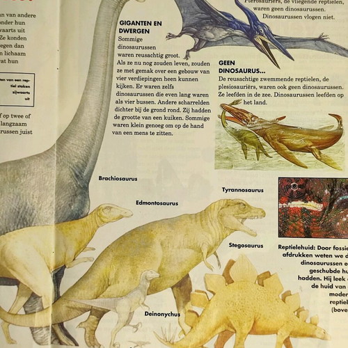 Dinosaurus No.1 DeAgostini 1993 used vintage without cover