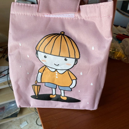 Insulated lunch bag new