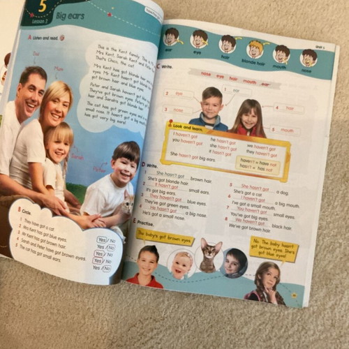 Fun with Fizz A Junior sealed English book
