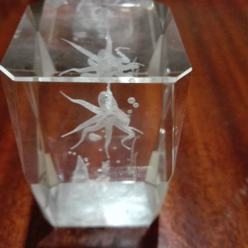 Glass decorative item used with 3D octopus design
