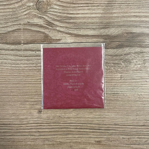 Gang Wizard The Stolen Groceries 3” mini CD-R like new, limited edition