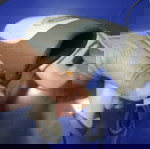  Четец на баркодове
