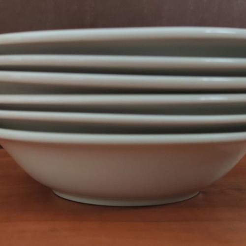 Vintage Sango Stoneware Manor 8500 dinnerware set 18 pieces like new