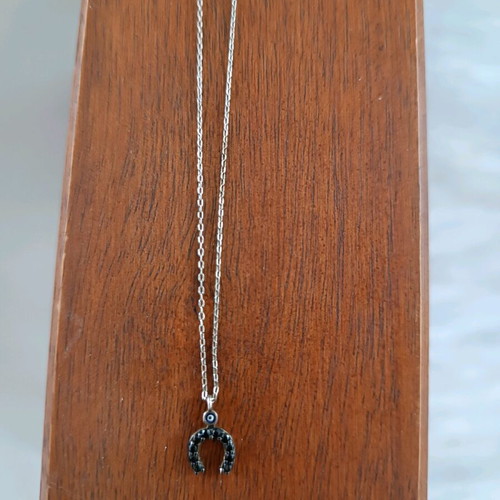 Loisir silver necklace like new