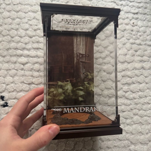 Noble Collection Mandrake Display like new without figure