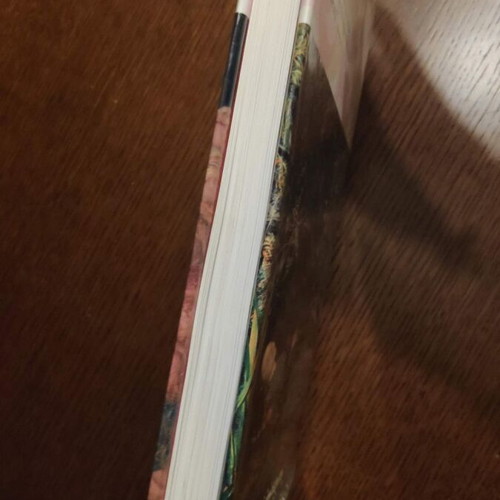 Symbolism Taschen 25th Anniversary edition book like new, English