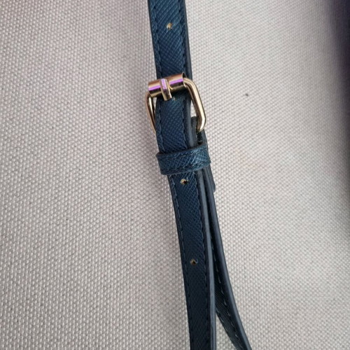 Carpisa crossbody bag used, green