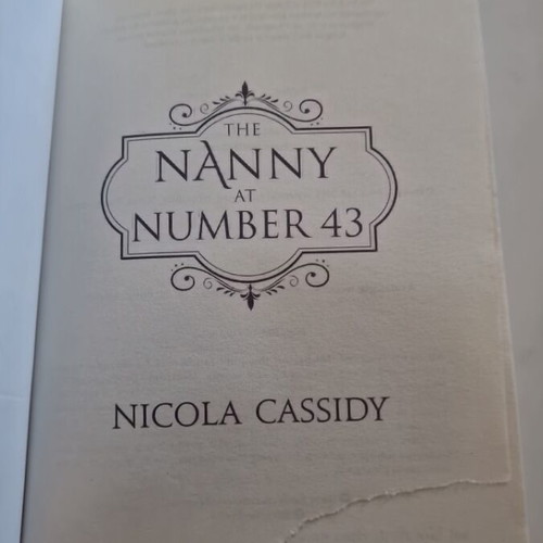 The Nanny at Number 43 by Nicola Cassidy, thriller