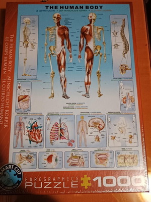 Eurographics παζλ The Human Body 1000 κομματιών