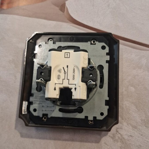 Switch Ale Retous bronze with metal frame Schneider Electric like new