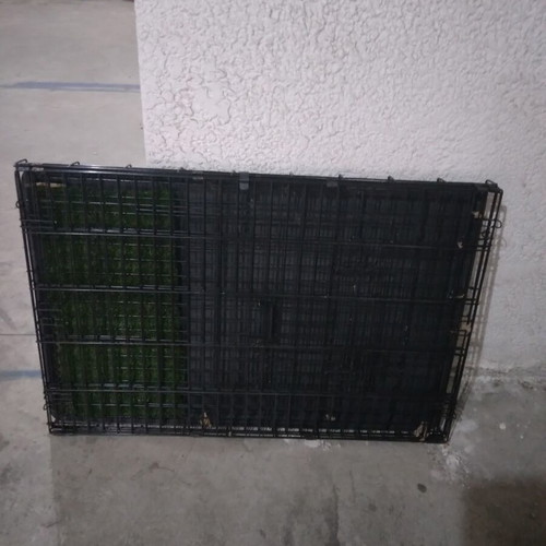 Dog crate for transport