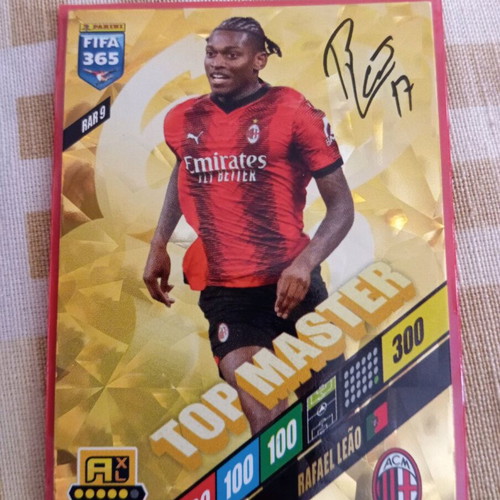 Panini Fifa 365 card like new