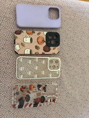 iPhone 15 Pro cases like new