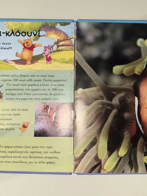 Learning Sea Animals used children's book